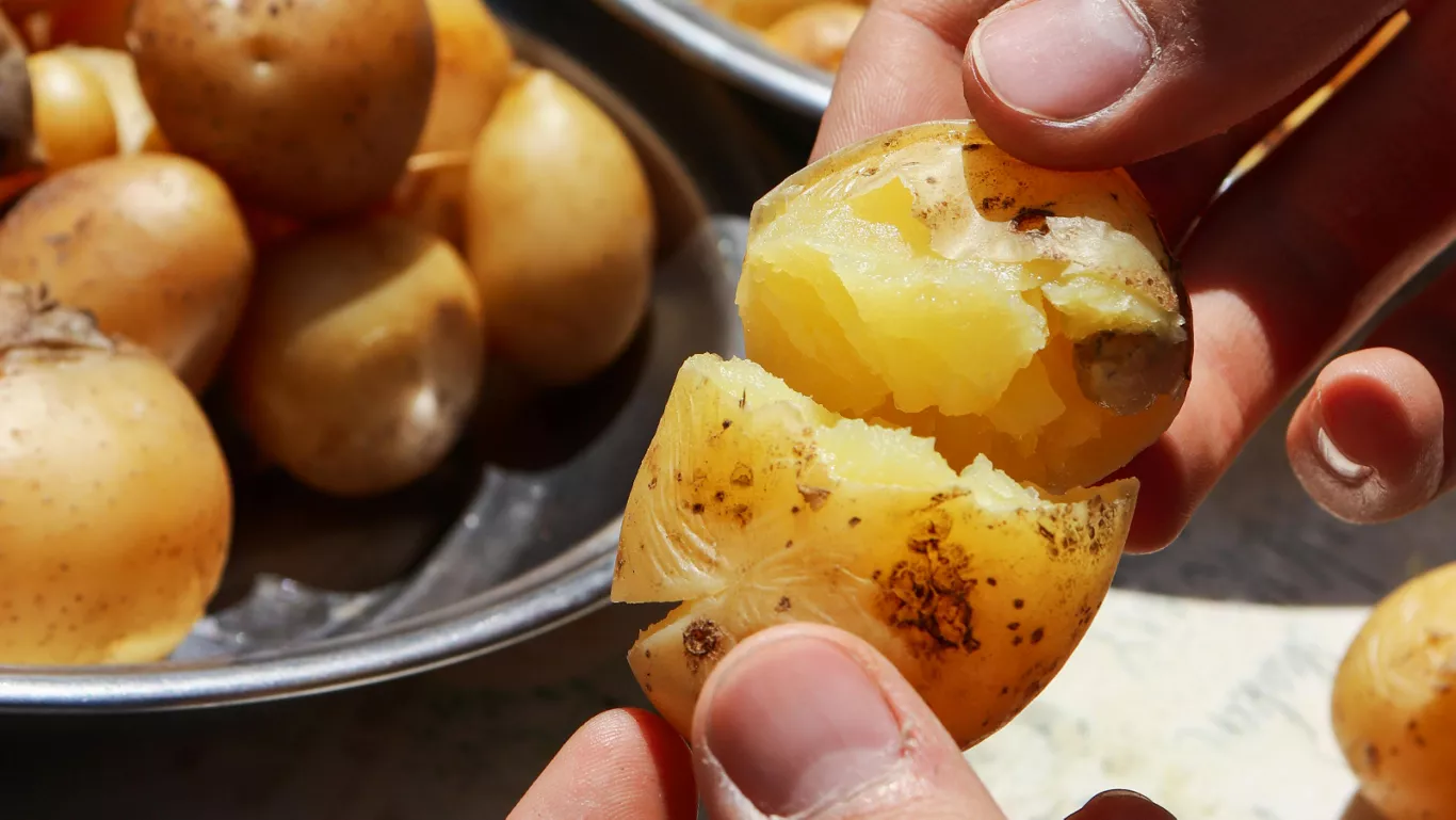 plating-instructions-image